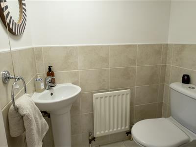 Picture 15